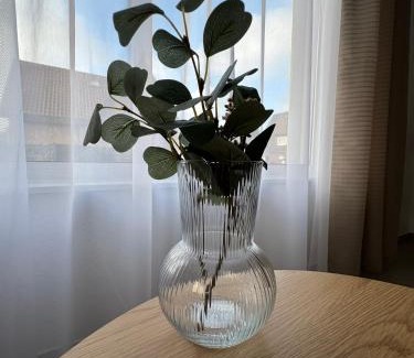 Rheine Apartamento | Rheiner WohlfühlSuite mit Garten