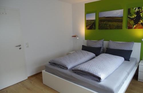 Mainz-Bingen Apartamento | Rheinhessen Apartment