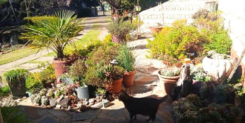 Harrismith Apartamento | Rheola's Guest Cottage