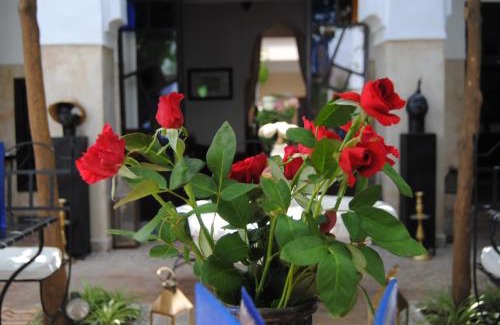 Sidi Bou Amar Casa | Riad dar Ourika