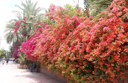 Mechouar-Kasbah Casa | Riad des Etoiles