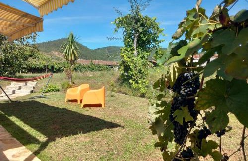 Oliveira de Frades Casa | Ribança Village