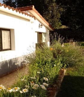 Tanti Hotel | Ribera Sur Hotel - Los Algarrobos - Tanti