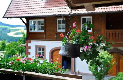 Zell am Harmersbach Apartamento | Riehle Hof