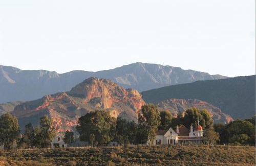 Oudtshoorn Cama Y Desayuno | Rietfontein Ostrich Palace