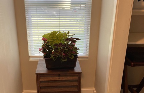 Hickory Casa | Right in the heart of Hickory, close to shopping , restaurants, downtown, hospit