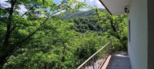 Karuc Apartamento | Rijeka Crnojevica Apartment Vujovic