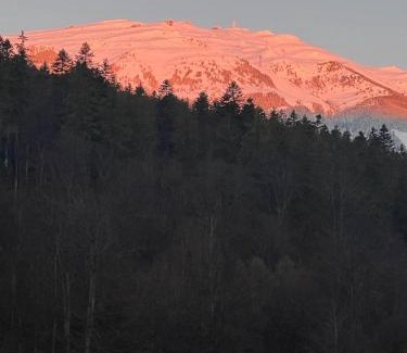 Sinaia Apartamento | Riky Apart Mountain View