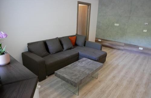 Sinaia Apartamento | Riky Apart Mountain View