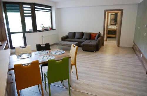 Sinaia Apartamento | Riky Apart Mountain View