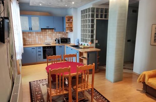 Samokov Apartamento | Rila Apartment