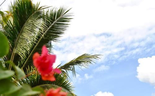 Selong Belanak Casa | Ripbowl Guest House