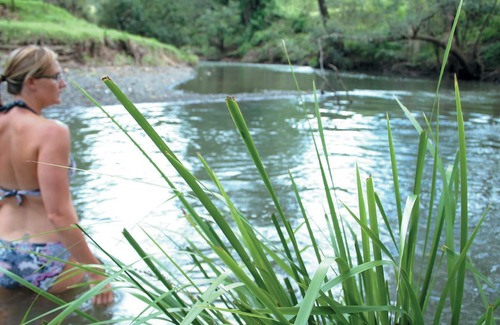 Gradys Creek Cabina | Ripples on the Creek - 'Silky Oak' Creekside Cabin