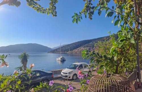 Agia Efimia Casa | Ritsa House