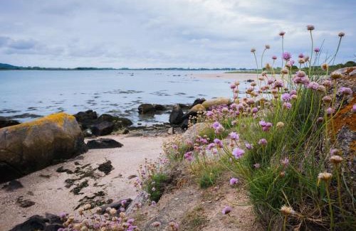 Reville Casa | Rive gauche (bord de mer)