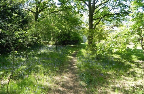 Holmebridge Casa | River Cottage a country retreat in wooded gardens