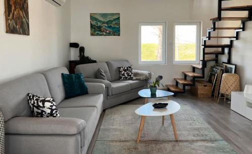 Belgrade Casa | River House Zizi