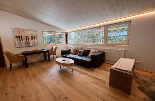 Dornbirn Apartamento | River Lodge