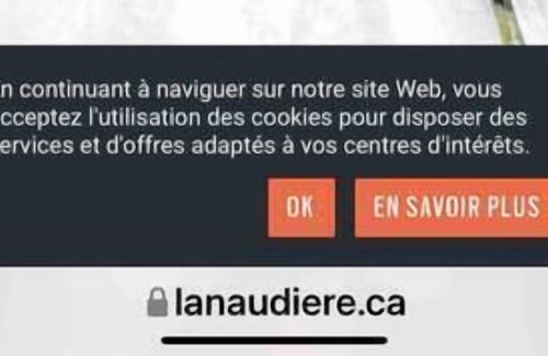 Brebeuf Chalet De Esquí | River'N Beach - chalet moderne sur rivière + spa!