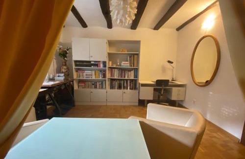 Huningue Apartamento | RIVER side appartment