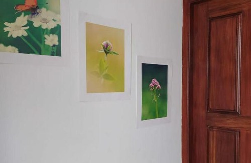 Pelena Casa | River Side Holiday Inn