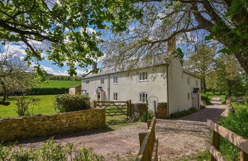 Axminster Cabaña | Riverbank