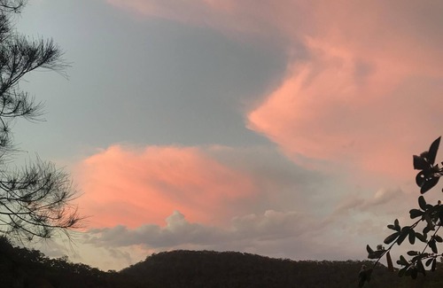 Berowra Waters Casa | Riverfront 'Treehouse' Escape (8 Dusthole Pt)