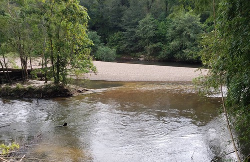 McComb Casa | “River’s Edge”, a secluded river- front, 2 bed 2 bath cottage in bamboo forest.