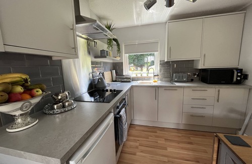 Bont Newydd Cabina | Riverside Cabin with Large Decking Area set in 120 acre Country Park, Snowdonia
