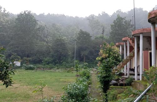 Ramnagar Cabina | Riverside Forest Retreat Camp, Corbett Jungle Inn , NH-309,Muhan,Dhikala Range opposite Mohan Eco Safari Zone Jim Corbett National Park Ramnagar