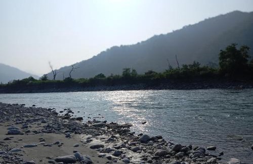 Ramnagar Cabina | Riverside Forest Retreat Camp, Corbett Jungle Inn , NH-309,Muhan,Dhikala Range opposite Mohan Eco Safari Zone Jim Corbett National Park Ramnagar