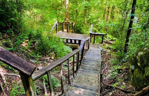 Townsend Cabina | Riverview