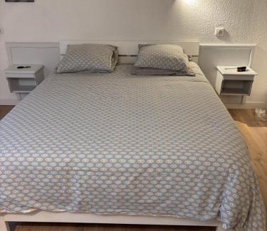 Aix-les-Bains City Center Apartamento | Riviera
