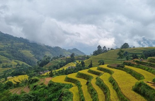 Ta Su Choong Cabina | Riz d'Or Ermitage - Hoang Su Phi