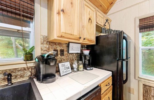 Hampton Cabina | Roan Mountain Charming Cabin Hot Tub Close to Hiking Dogs Welcome