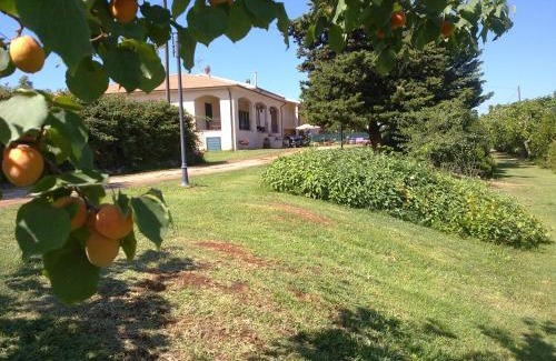 San Vincenzo Casa | Roberta appartamenti "Le Muratelle"