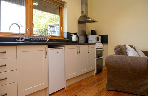 Lampeter Cabaña | Robin's Perch Eco Lodge Apartment, Lampeter