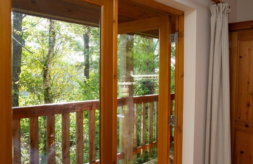 Lampeter Cabaña | Robin's Perch Eco Lodge Apartment, Lampeter