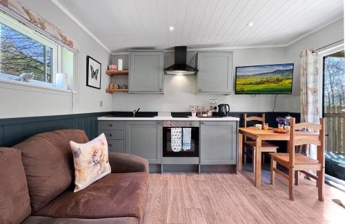 South Molton Cabina | Robins Nest Lodge