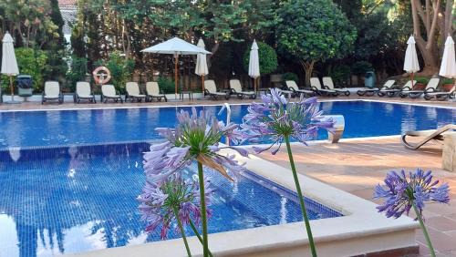 Peguera Hotel | ROC Oberoy - Adults Only