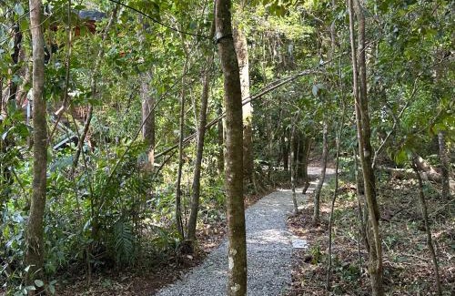 Monteverde Casa | Roca Verde - Monteverde Cloud Forest Lodging