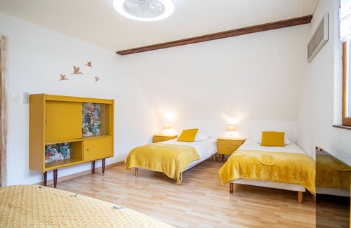 Dieffenthal Cabaña | Rock of the Celts - Gites 6-8 people - Alsace Wine Route