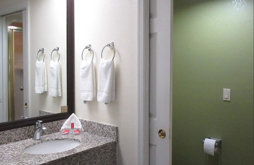 Albany Hotel | Rodeway Inn Albany South