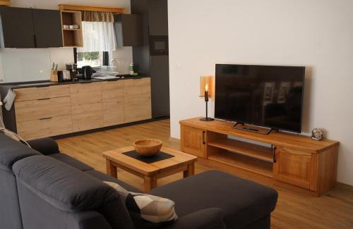 Cerny Dul Apartamento | Rodinný apartmán Čistá