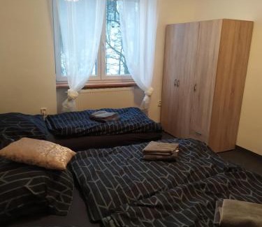Stare Mesto Apartamento | Rodinný apartmán Nová Seninka