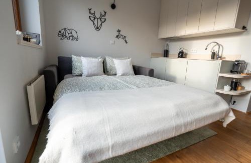 Jablonec nad Jizerou Apartamento | Rodinný apartmán v srdci Krkonoš