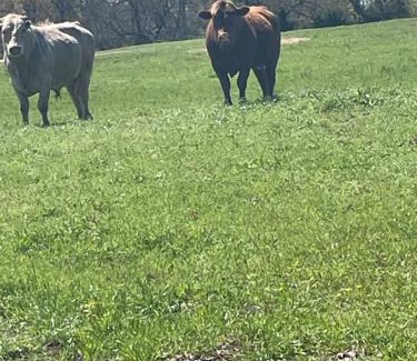 Grant Cama Y Desayuno | Roebuck ranch