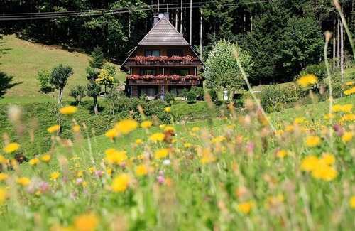 Oberwolfach Apartamento | Rohrhardsberg, 75qm, zwei Schlafzimmer, max. 6 Personen