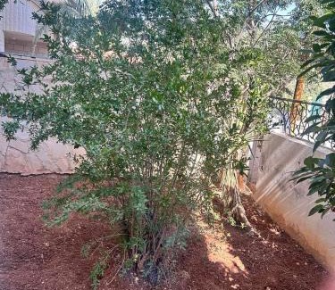 Karak Governorate Hotel | Roman Inn