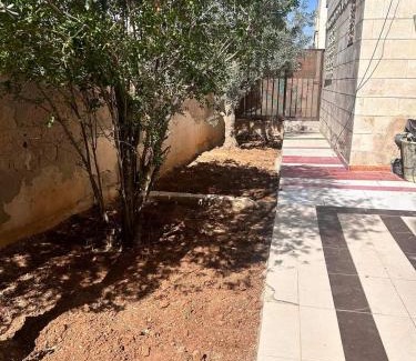 Karak Governorate Hotel | Roman Inn